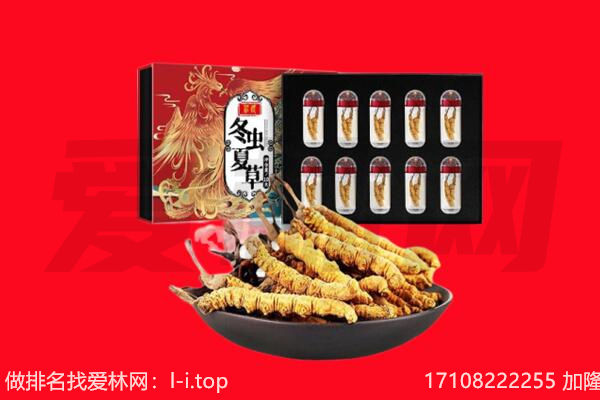 十堰市竹山回收虫草.jpg